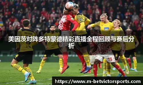 伟德体育